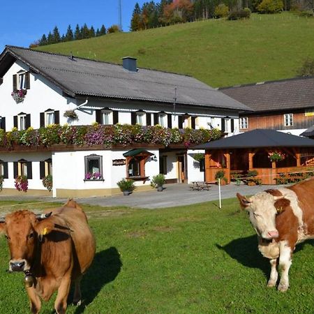 Vila Bio Bauernhof Moas Lunz am See Exteriér fotografie