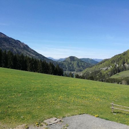 Vila Bio Bauernhof Moas Lunz am See Exteriér fotografie