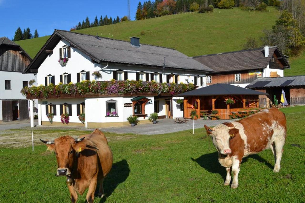 Vila Bio Bauernhof Moas Lunz am See Exteriér fotografie