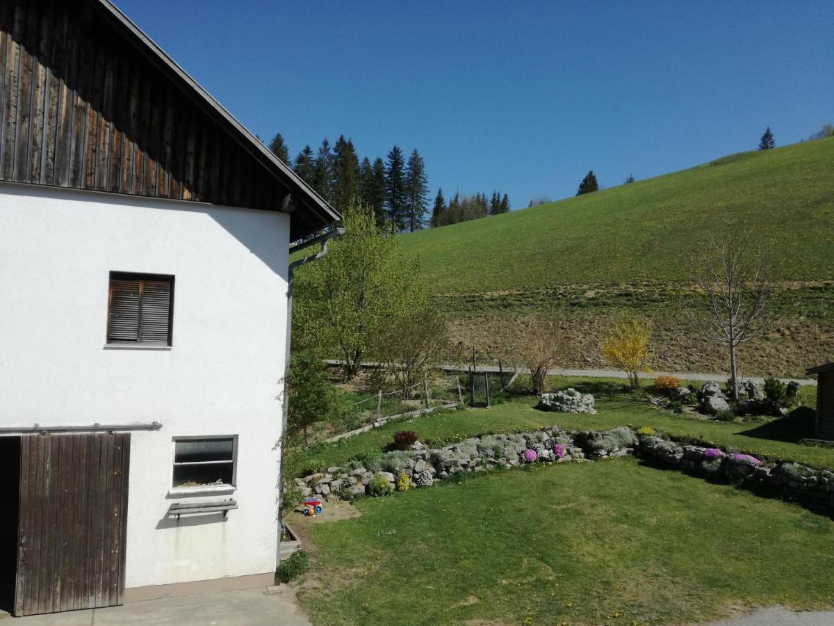Vila Bio Bauernhof Moas Lunz am See Exteriér fotografie