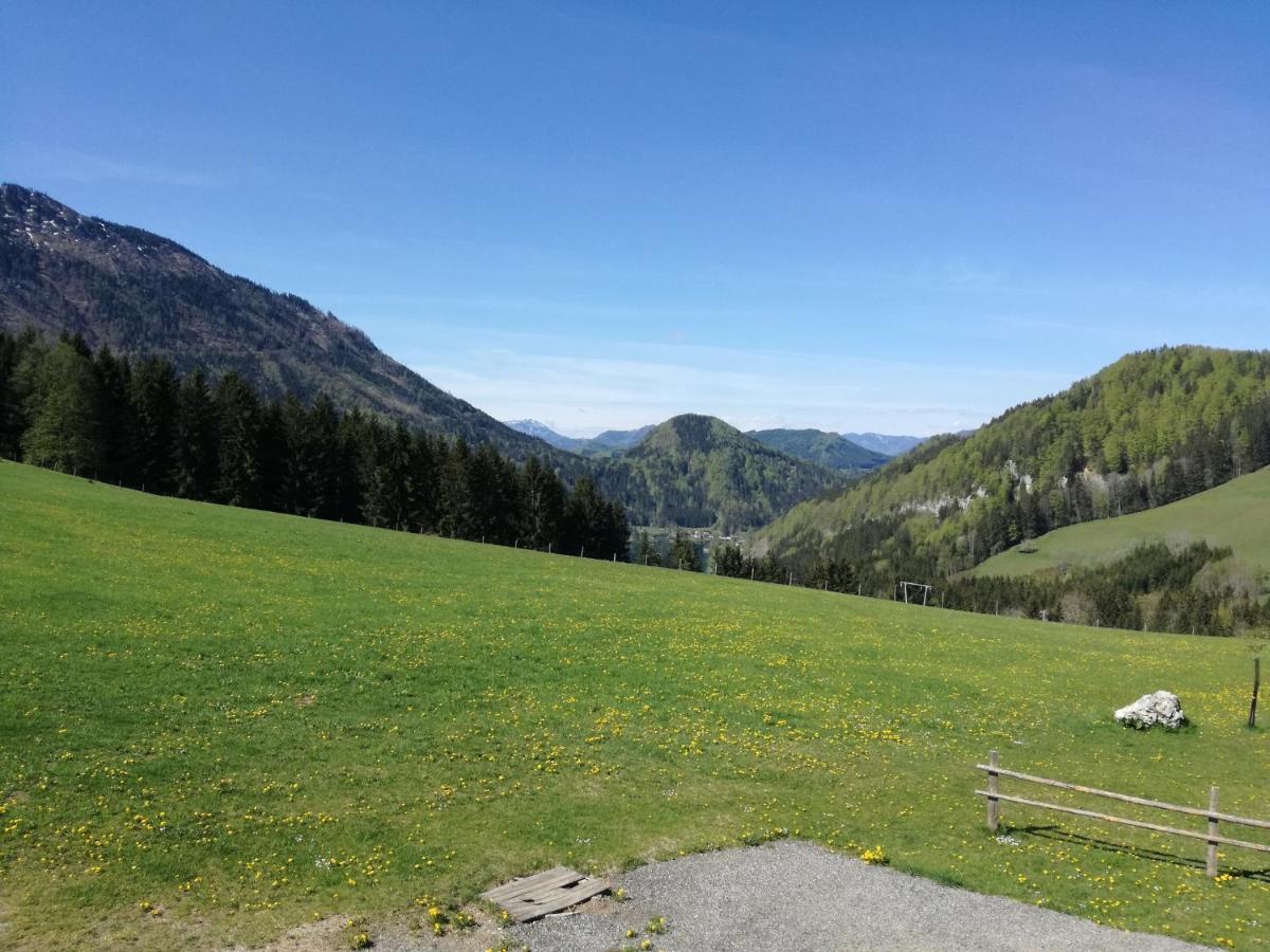 Vila Bio Bauernhof Moas Lunz am See Exteriér fotografie