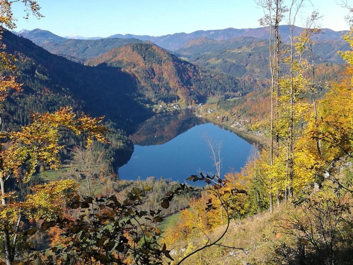 Vila Bio Bauernhof Moas Lunz am See Exteriér fotografie